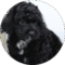 Grace Baber Avatar