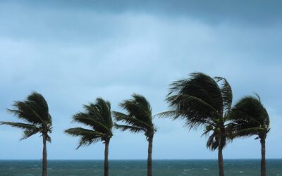 More Ways to Prepare for Hurricane Season 